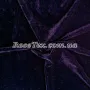 Велюр Темно-фіолетовий